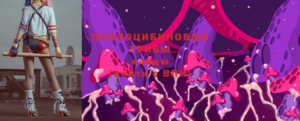 гашик Абаза
