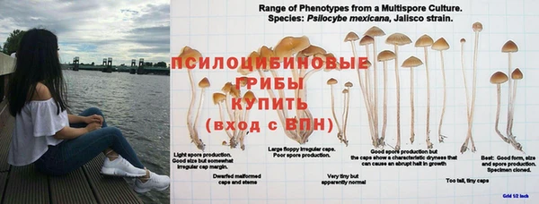 скорость Сафоново