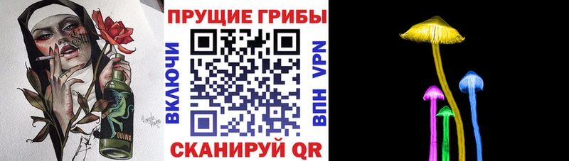 мориарти официальный сайт  Бугуруслан  Галлюциногенные грибы прущие грибы  наркота 