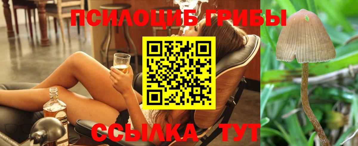 Псилоцибиновые грибы ЛСД  Вход с VPN  купить закладку  Галлюциногенные грибы Magic Shrooms  Бугуруслан 